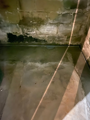 Waterproofing Company «Quality 1st Basement Systems», reviews and photos