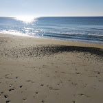 Photo n°8 de l'avis de Antonello.i fait le 06/03/2019 à 22:50 sur le  Lido Gold Lounge Restaurant à Salve