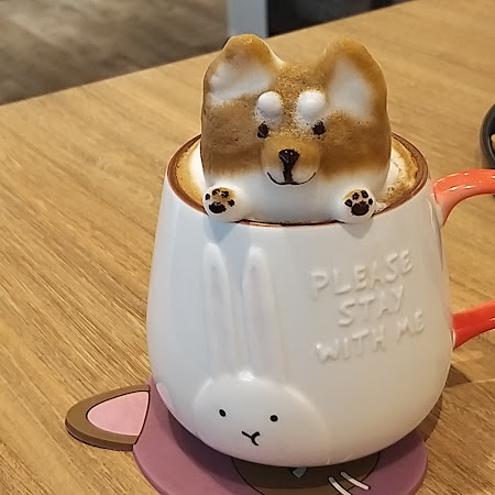貓鼻子複合式咖啡餐飲