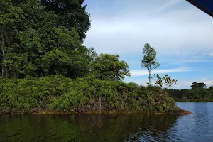 Danau Nibung image