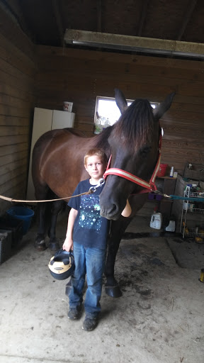 Horse Riding School «Horseng Farm LLC», reviews and photos, 6475 Warden Rd, New Tripoli, PA 18066, USA