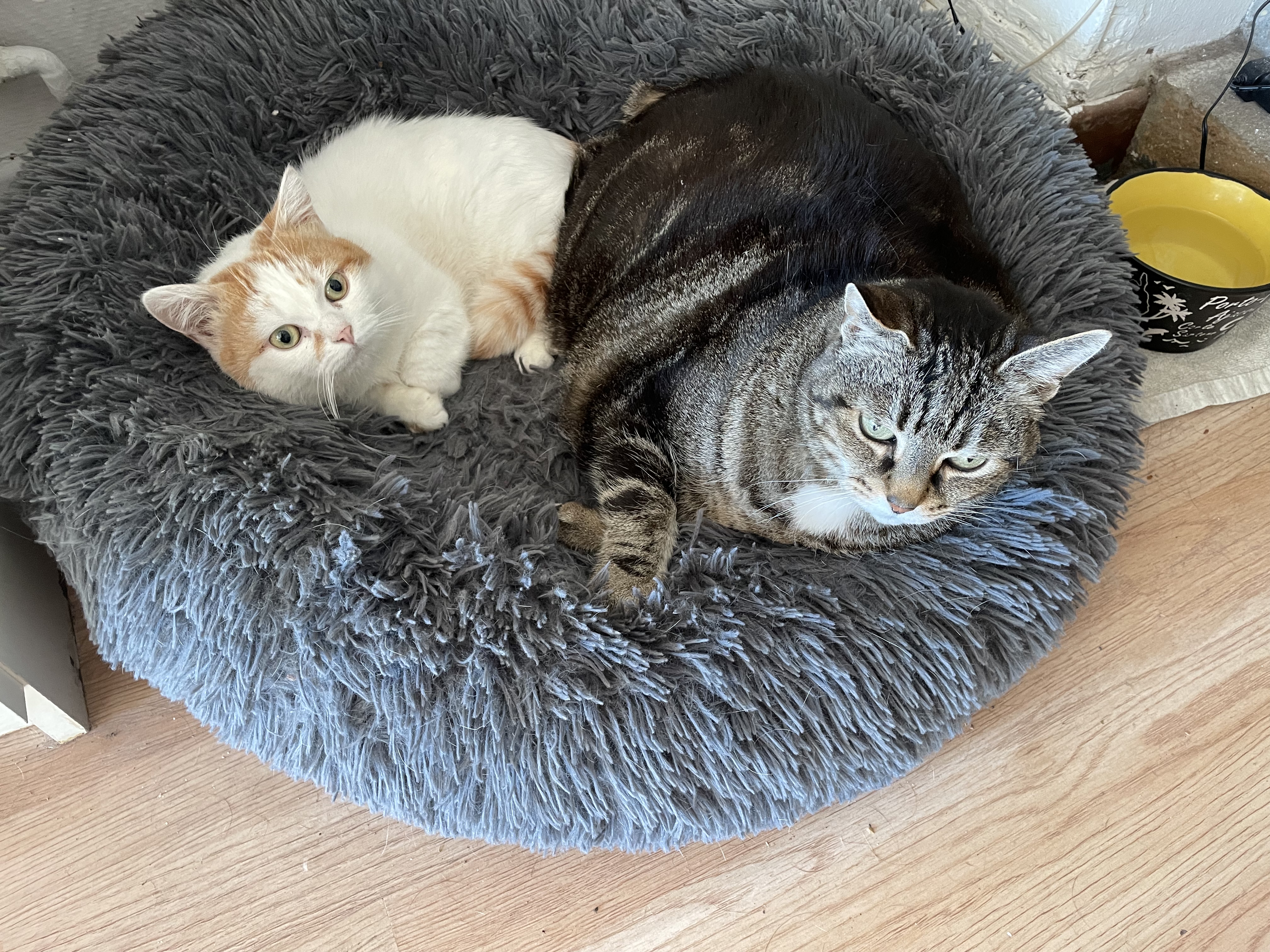 Photo n° 2 de l'avis de Thais.O fait le 27/07/2020 à 18:57