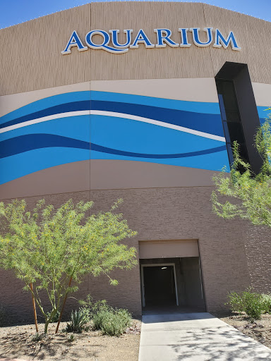 Tourist Attraction «Dolphinaris Arizona», reviews and photos, 9500 East Vía de Ventura, Scottsdale, AZ 85256, USA