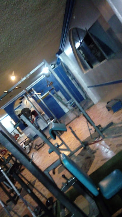 Master Gym - José Morelos y Pavón 200, Centro, 52305 Tenango del Valle, Méx., Mexico