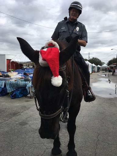 Cosmetics Store «Lush Cosmetics», reviews and photos, 459 Brandon Town Center Dr, Brandon, FL 33511, USA