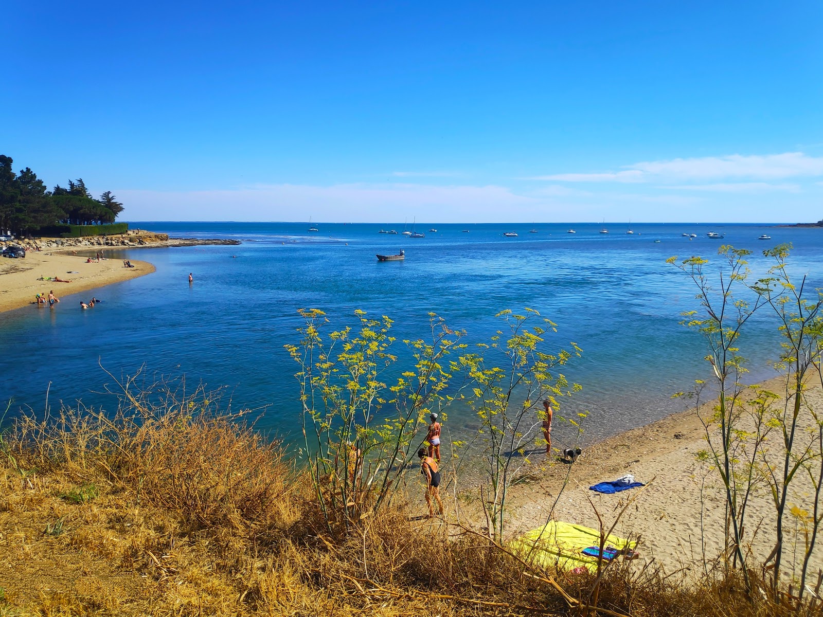Plage de Banastere'in fotoğrafı çok temiz temizlik seviyesi ile