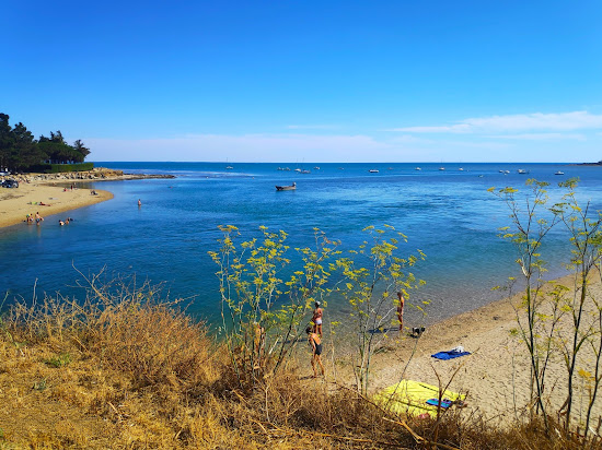 Plage de Banastere