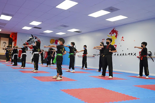 Sun's Kung Fu Academy