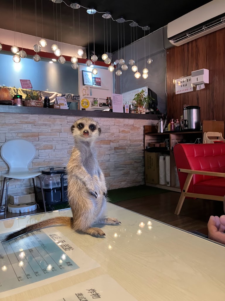 萌獴學園複合式餐飲 的照片