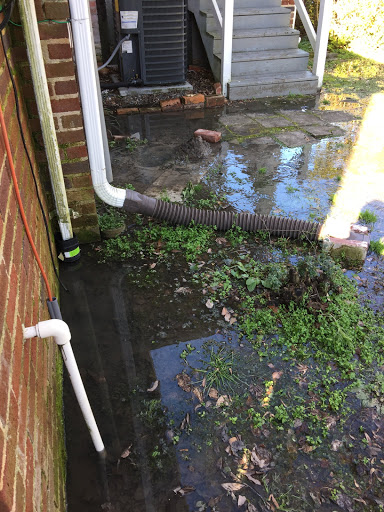 Plumber «Roto-Rooter Plumbing & Water Cleanup», reviews and photos