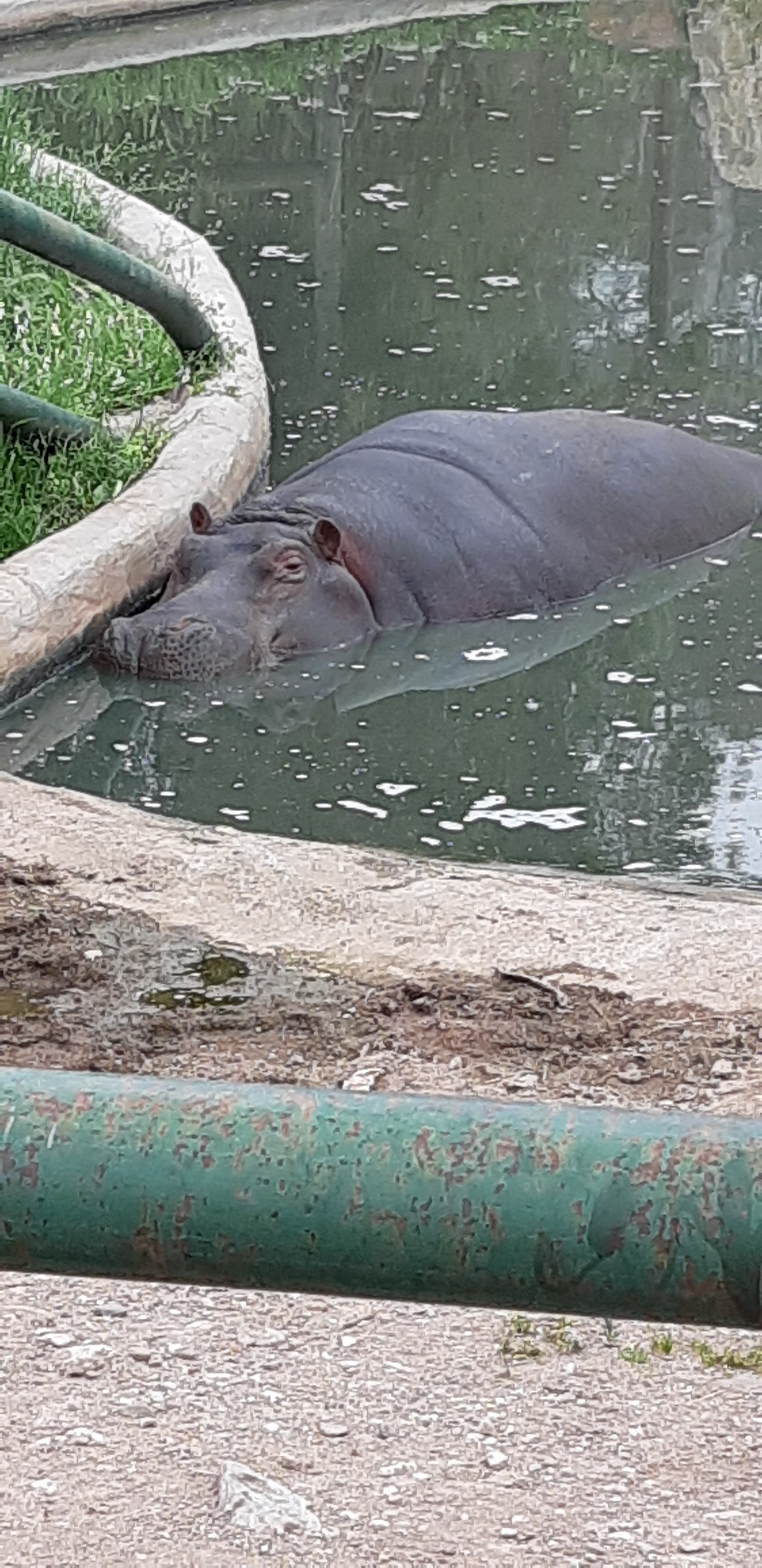 Photo n° 2 de l'avis de Laëtitia.a fait le 07/05/2018 à 17:38