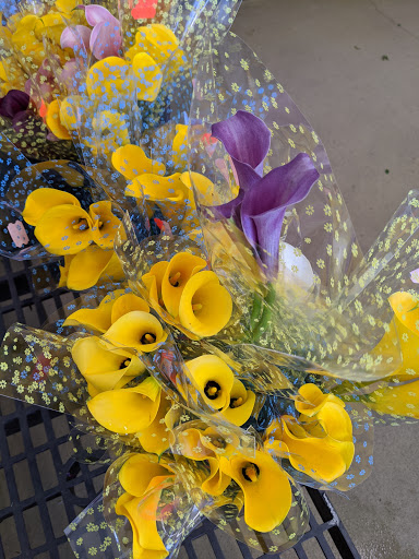 Produce Market «Produce Junction Inc», reviews and photos, 265 S Easton Rd, Glenside, PA 19038, USA