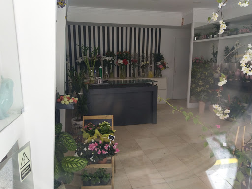 Emma's Flower Shop