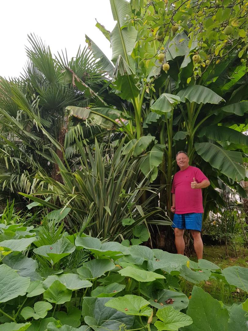 Photo n° 1 de l'avis de Jean.l fait le 30/08/2019 à 14:22