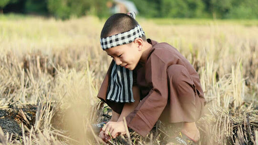phoma-tấn đạt