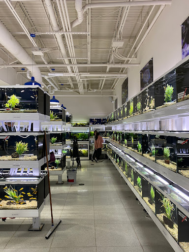 Tropical Fish Store «Fish Gallery», reviews and photos, 6955 Greenville Ave, Dallas, TX 75231, USA