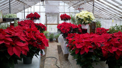 Florist «Bakanas Flowers And Gifts», reviews and photos, 27 N Maple Ave, Marlton, NJ 08053, USA