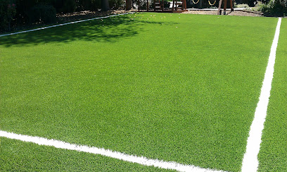 Bay Area Synthetic Grass