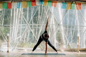 Nectar Yoga Retreat image