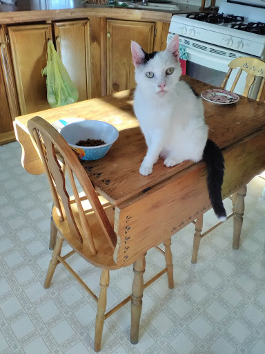 Home Goods Store «Dollar General», reviews and photos, 2649 Main St, Whitney Point, NY 13862, USA