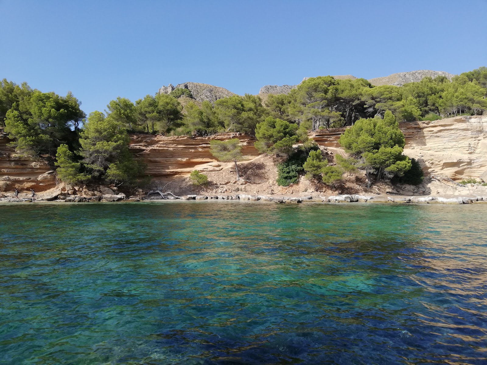 Foto av Platja des Calo beläget i naturområde