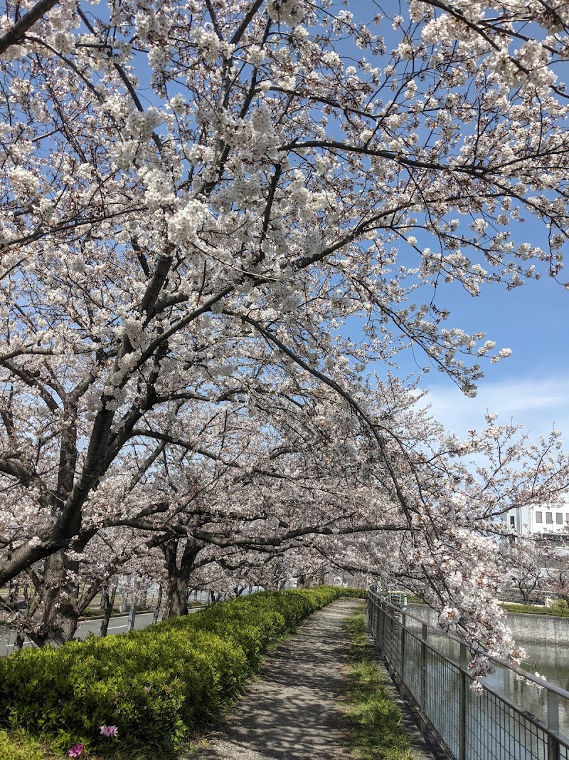 泉佐野市役所