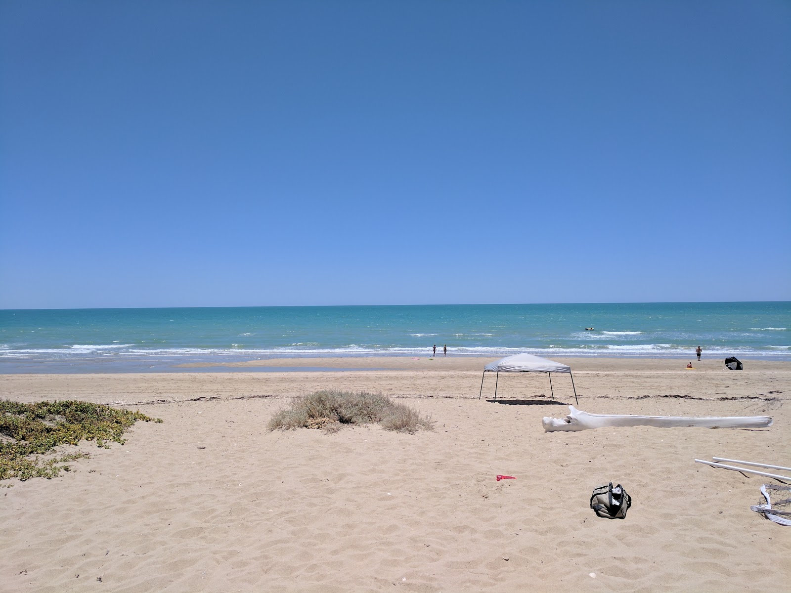 Foto von La Jolla Beach mit langer gerader strand