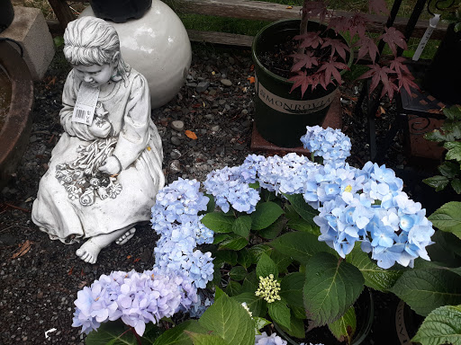 Home Improvement Store «Pierson Building Center», reviews and photos, 4100 Broadway St, Eureka, CA 95503, USA