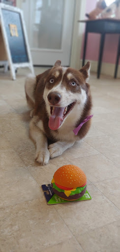 Pet Groomer «Furry Tails Pet Grooming», reviews and photos, 865 Cypress Pkwy, Poinciana, FL 34759, USA