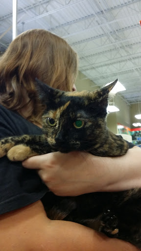 Pet Supply Store «PetSmart», reviews and photos, 2500 Posner Blvd, Davenport, FL 33837, USA