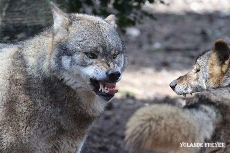 Photo n° 3 de l'avis de yolande.r fait le 24/10/2023 à 19:03
