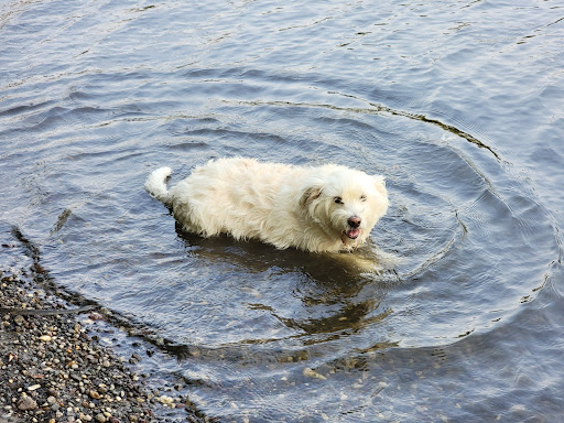Nature Preserve «Crosby Farm Regional Park», reviews and photos, 2595 Crosby Farm Rd, St Paul, MN 55116, USA