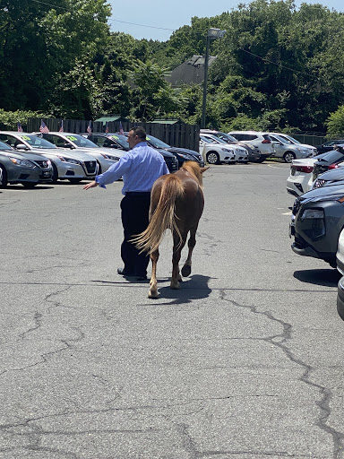 Car Dealer «Route 33 Nissan», reviews and photos, 951 NJ-33, Trenton, NJ 08690, USA