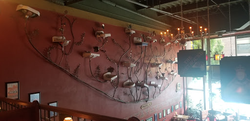 Brewery «McMenamins on Monroe», reviews and photos, 2001 NW Monroe Ave, Corvallis, OR 97330, USA