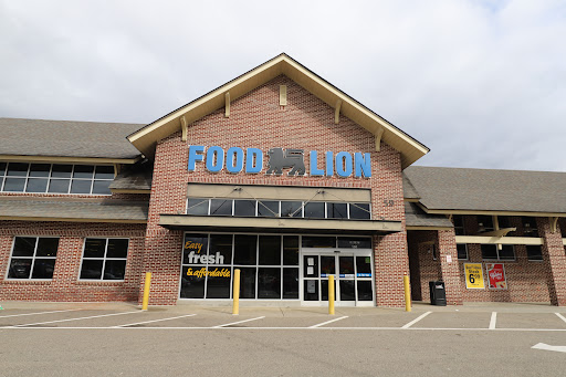 Food Lion, 59 Main Street #100, Dawsonville, GA 30534, USA, 