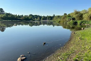 Trout Lake Off-Leash Area image