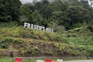 Fraser’s Hill (Bukit Fraser) image
