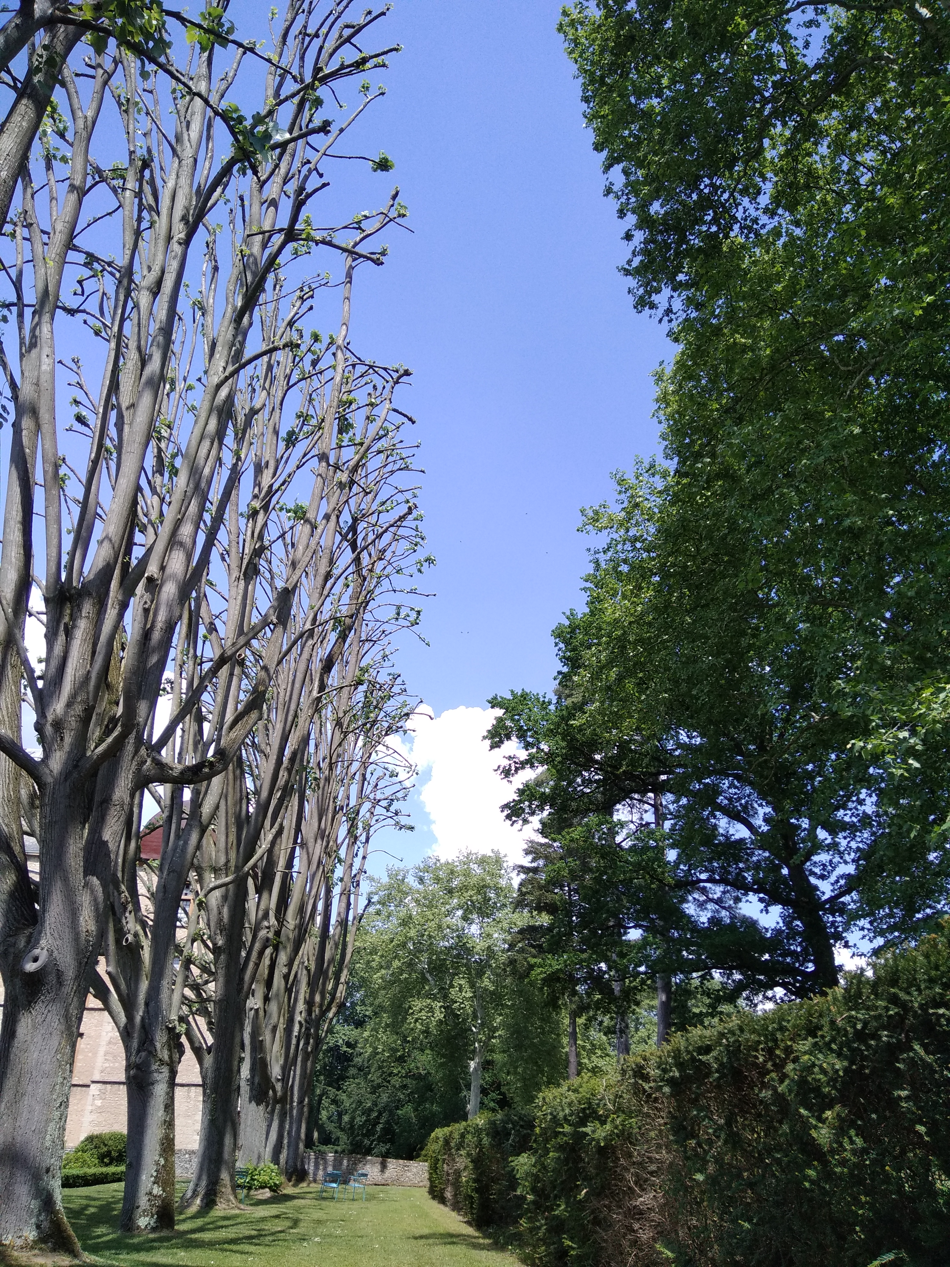 Photo n° 20 de l'avis de Rafaël. fait le 08/05/2018 à 11:48
