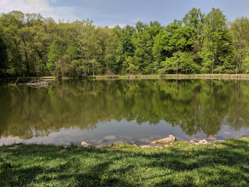 Nature Preserve «Strawberry Hill Nature Preserve», reviews and photos, 1537 Mt Hope Rd, Fairfield, PA 17320, USA