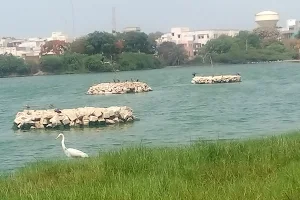 Subhashnagar Wetland image