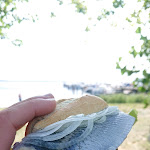 Photo n°1 de l'avis de SEITZ. fait le 13/08/2022 à 14:23 sur le  Bin Fischer sin Fru à Rerik