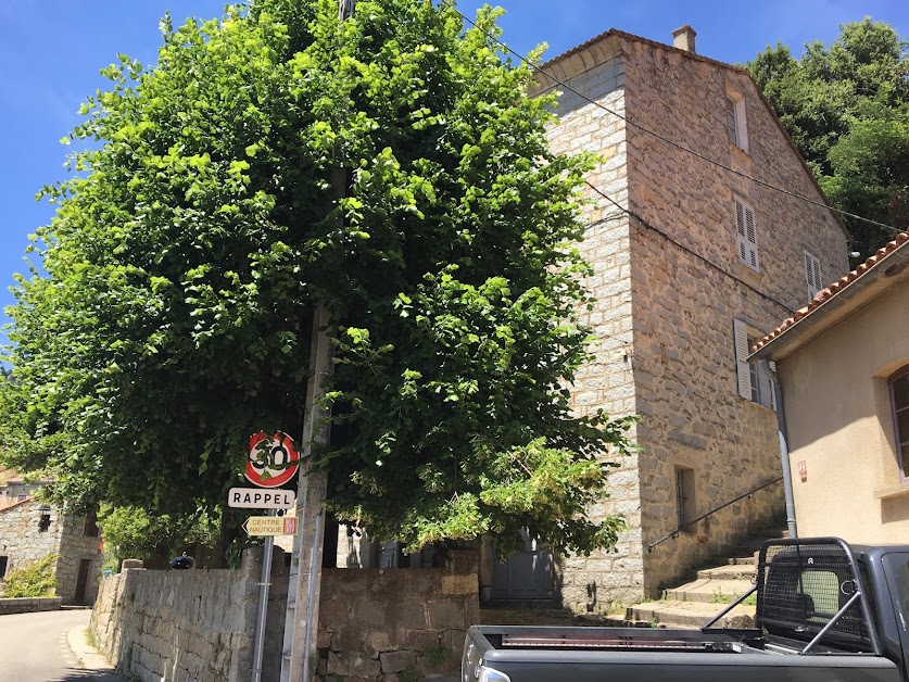 Maison Coltelloni à Tolla (Haute-Corse 20)