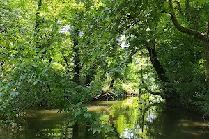 Koca Creek image