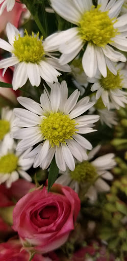 Florist «North End Florist», reviews and photos, 403 N Charlotte St, Pottstown, PA 19464, USA