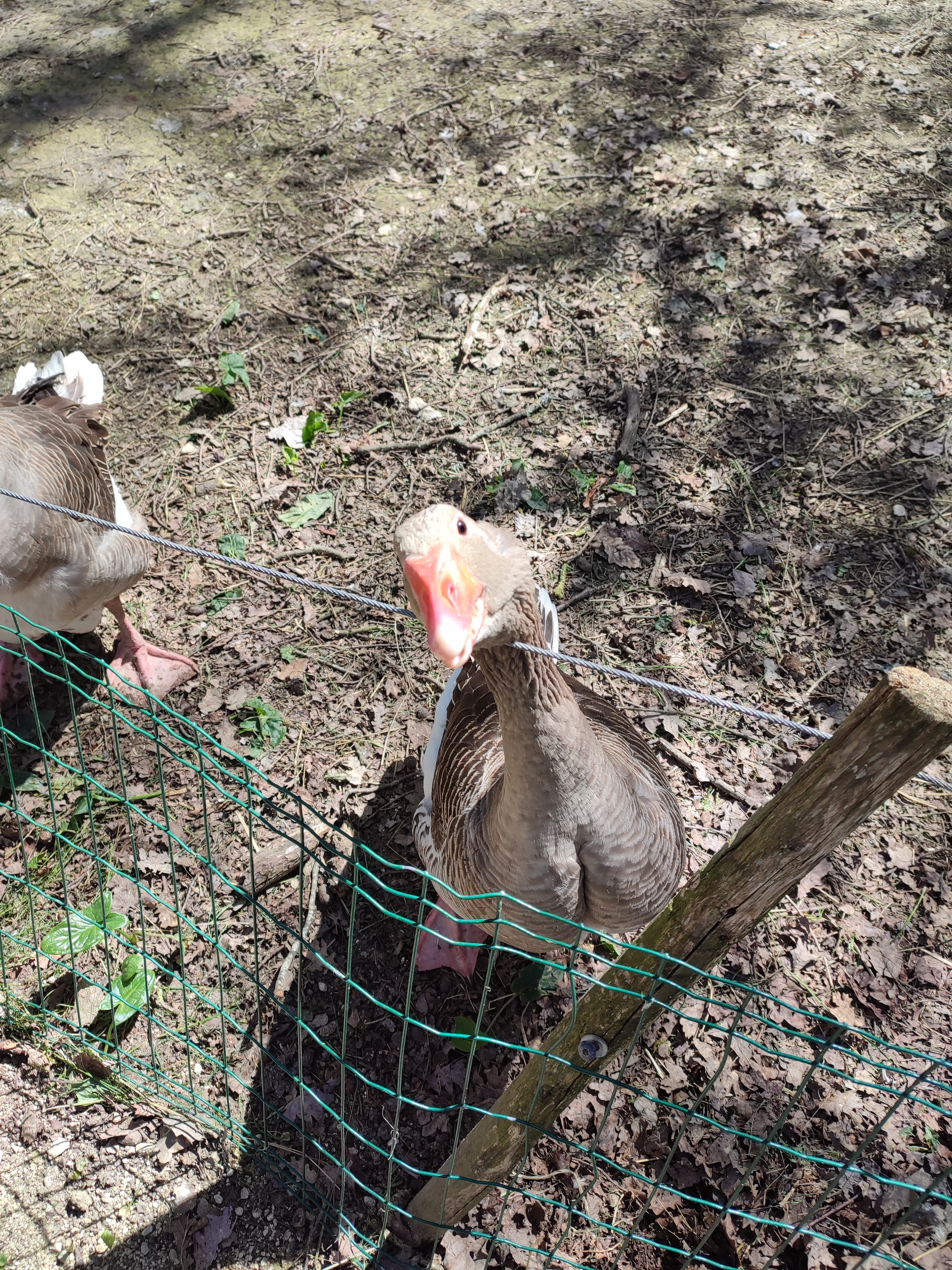 Photo n° 1 de l'avis de Nellie.a fait le 29/04/2023 à 13:47