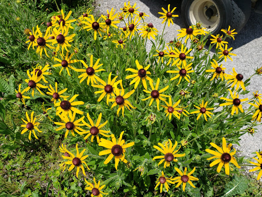 Golf Club «Links Golf Club», reviews and photos, 8706 Pavilion Dr, Hudson, FL 34667, USA