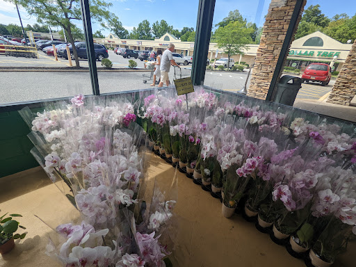 Produce Market «Produce Junction Inc», reviews and photos, 272 Pottstown Pike, Exton, PA 19341, USA