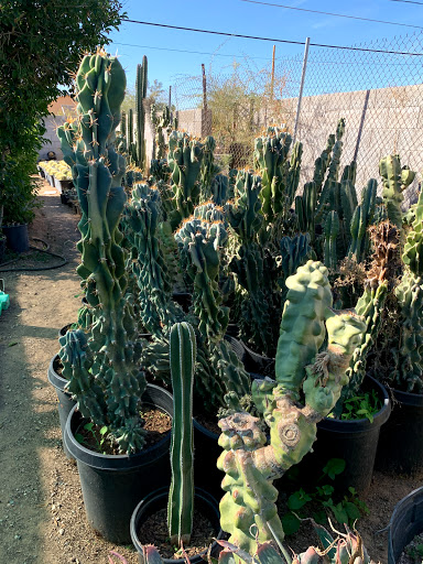 Gas Station «Circle K», reviews and photos, 12707 W Grand Ave, Surprise, AZ 85374, USA