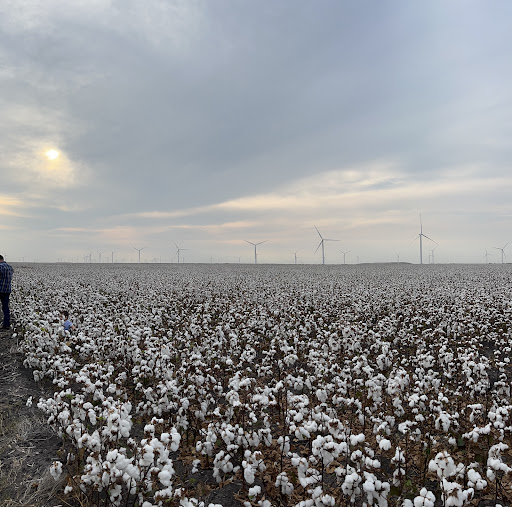 Fence Company Robstown