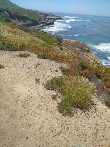 Park «Cabrillo National Monument», reviews and photos, 1800 Cabrillo Memorial Dr, San Diego, CA 92106, USA